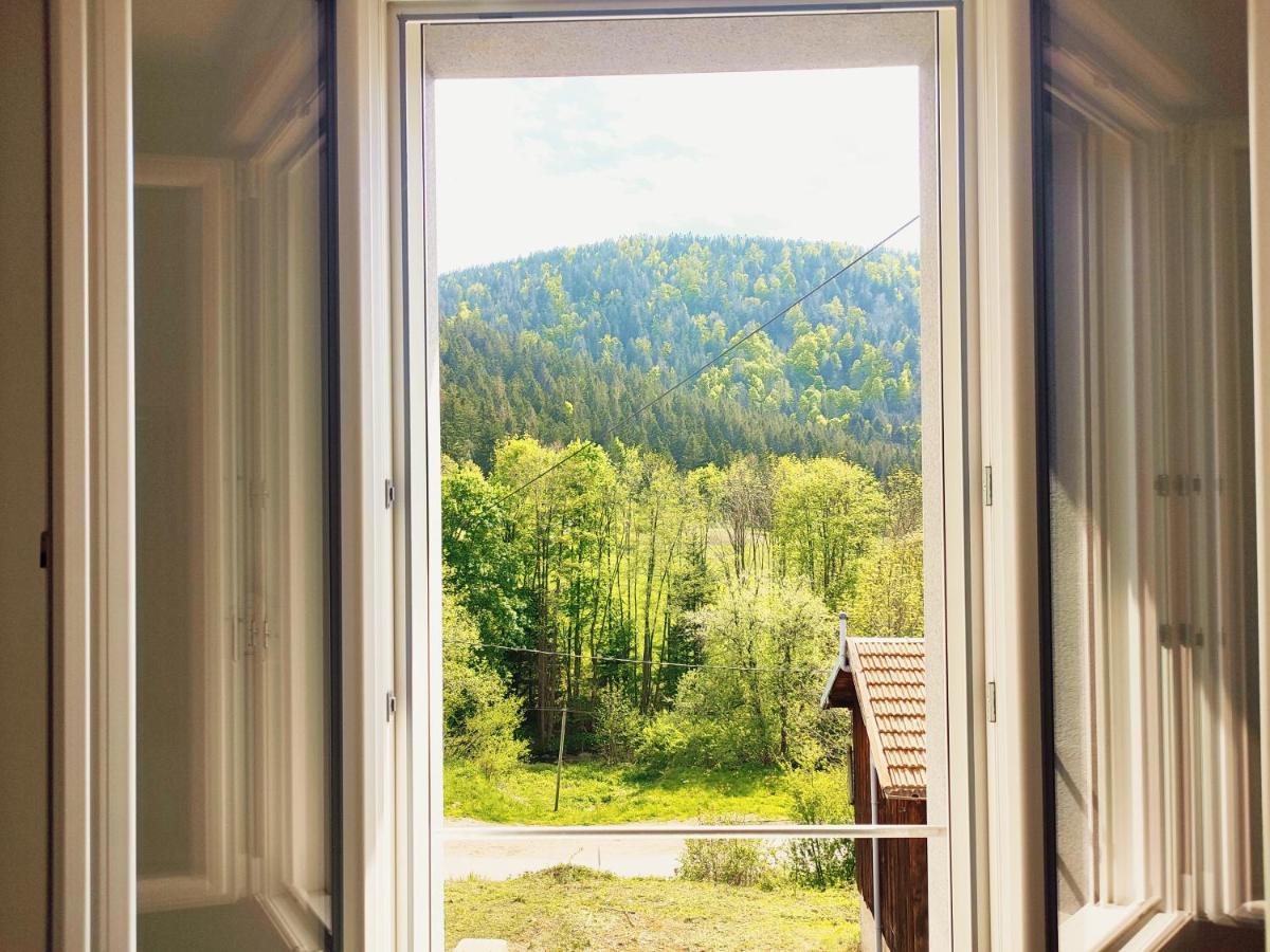 ⁂⁂ Le Grand Duc Appartement Cledicihome / Magnifique Vue Sur Les Montagnes / 4 Kms De Gerardmer ! ⁂⁂ Rochesson Dış mekan fotoğraf