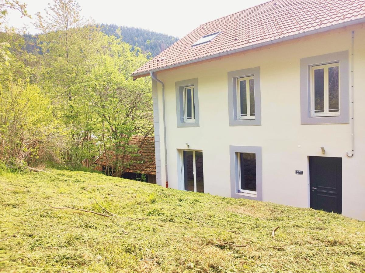 ⁂⁂ Le Grand Duc Appartement Cledicihome / Magnifique Vue Sur Les Montagnes / 4 Kms De Gerardmer ! ⁂⁂ Rochesson Dış mekan fotoğraf